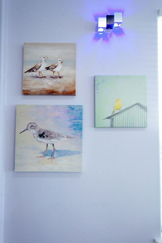 Three paintings of seagulls are hanging on a white wall.