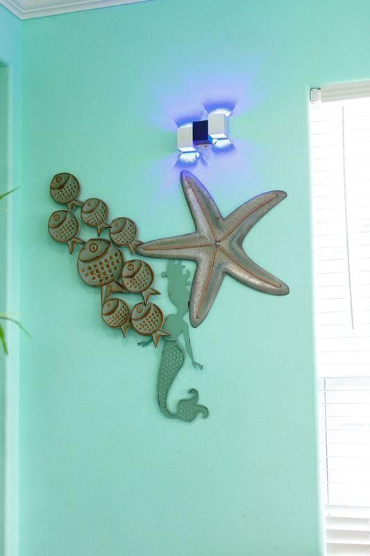 A starfish and a mermaid are hanging on a wall.