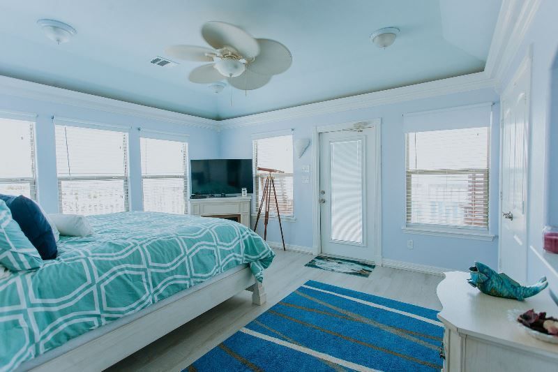 A bedroom with a bed , television , and ceiling fan.