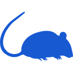 Blue silhouette of a mouse with a curved tail.