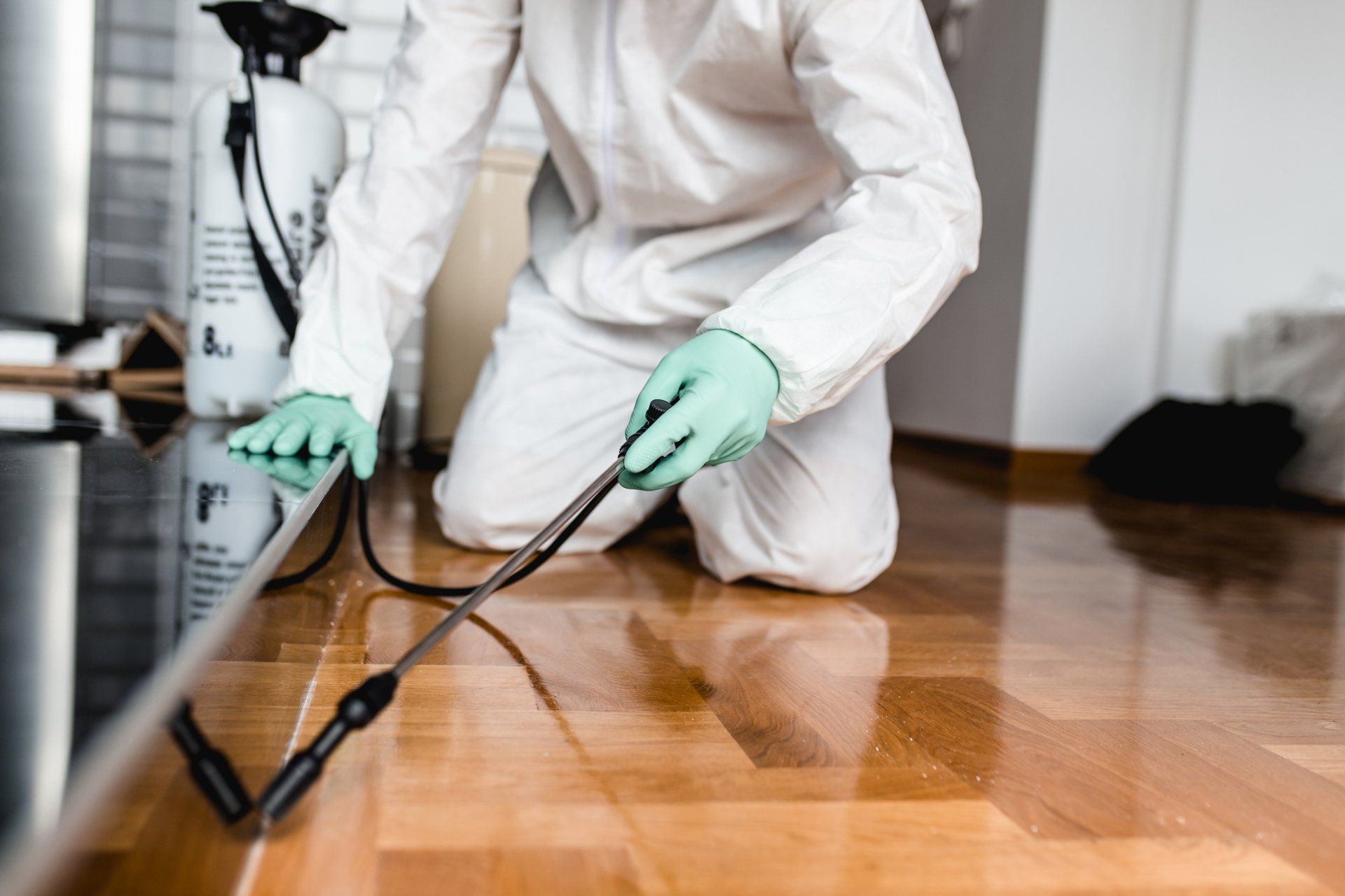 Technician spraying underside of kitchen cabinet for general pests.