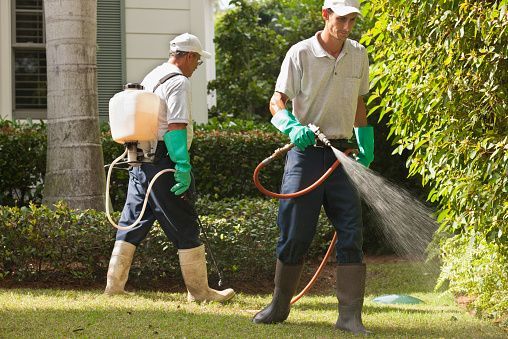Two pest control techs spraying a product outside a home