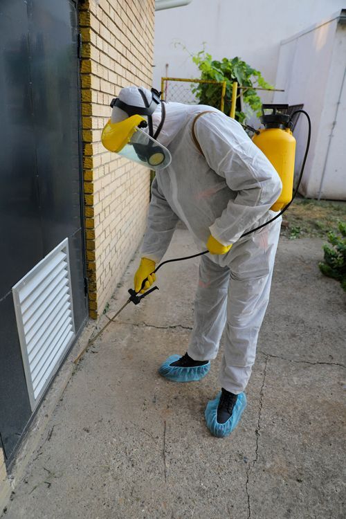 A man is spraying pesticide in a home. A man is spraying pesticide in a home.
