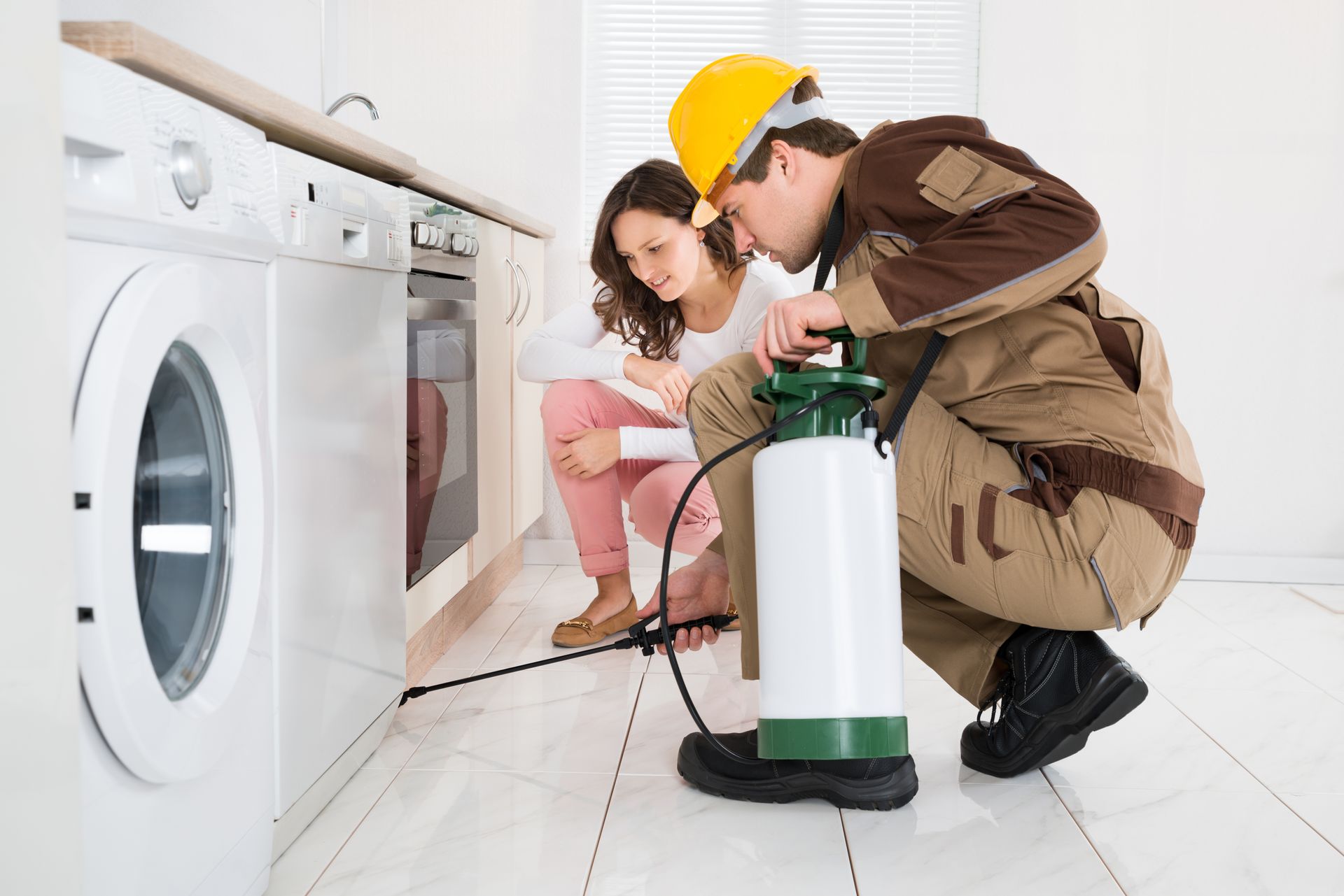 Worker spraying insecticide in the kitchen.