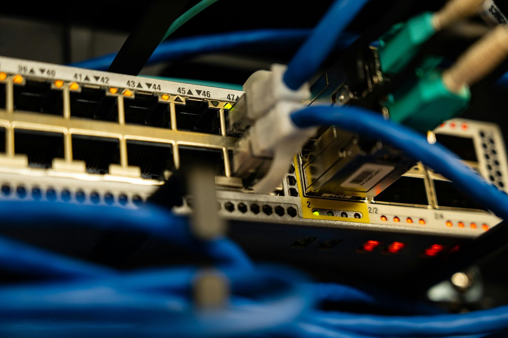 Close-up of a network switch with multiple blue and green ethernet cables plugged in, lit ports.