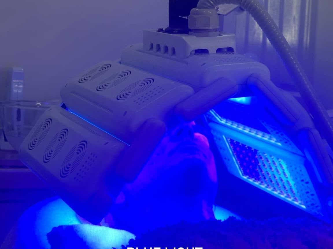 A Person is Laying on a Bed Under a Blue Light — Erikka's All Occasion Beauty In Rockhampton City, QLD