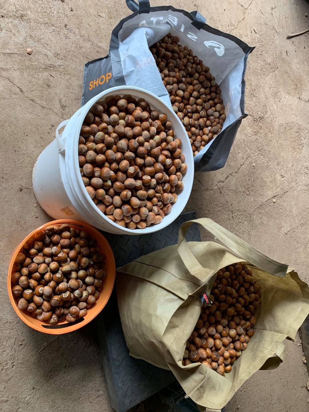 Three buckets of nuts are sitting next to each other on the ground.