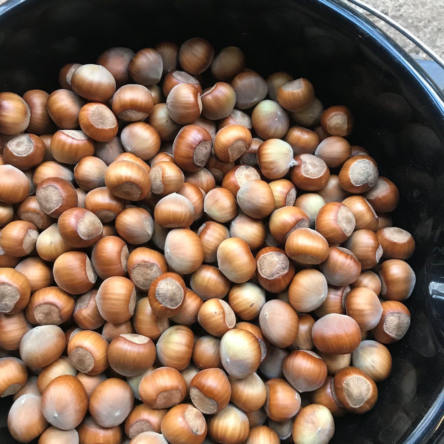 A bucket filled with nuts is sitting on a table.