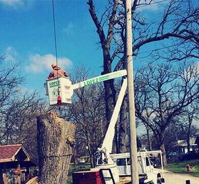 Pruning trees using a lift-arm - Tree services in Naperville, IL