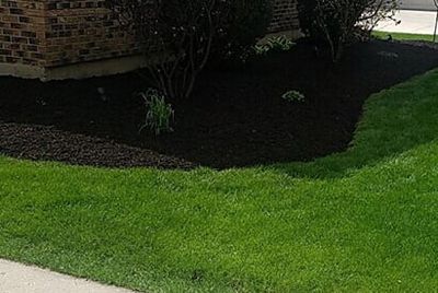 A yard with landscape maintenance in Naperville, IL
