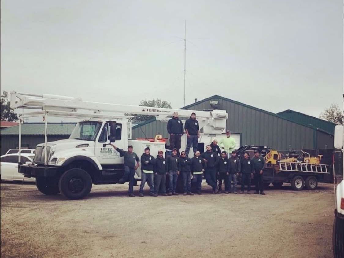 Lopez Tree Service Corp. gallery 7