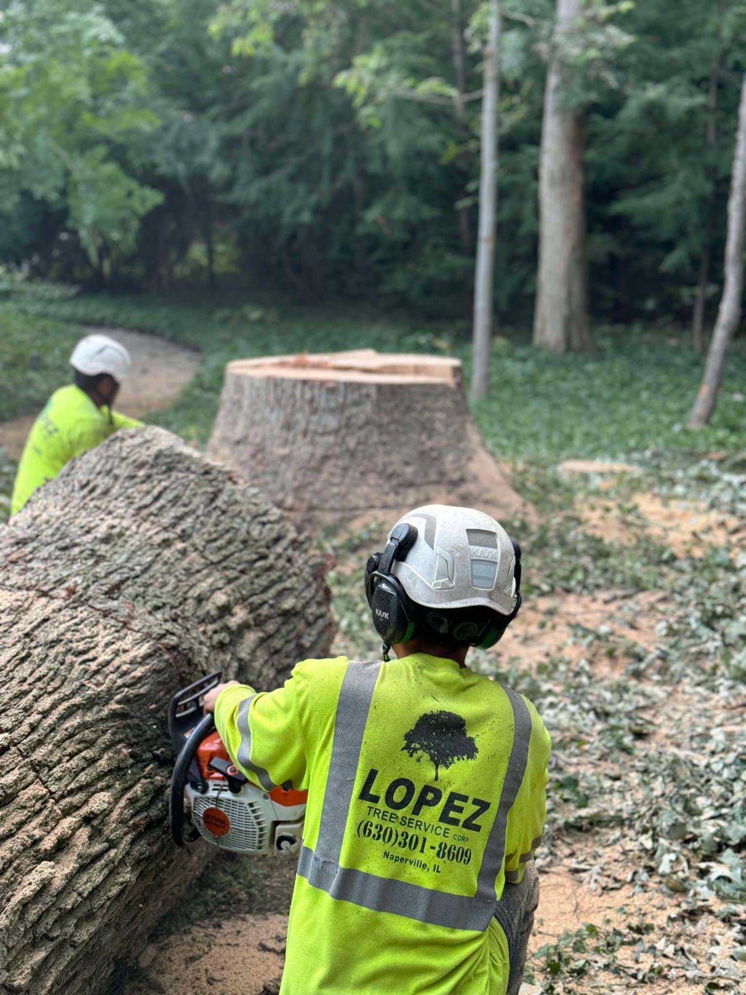 Pruning trees using a lift-arm - Tree services in Naperville, IL