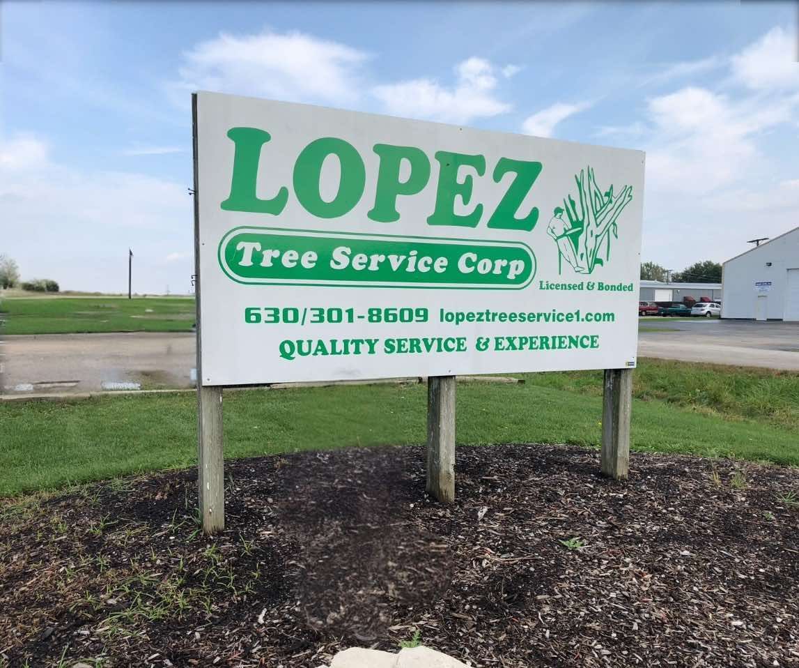 Sign for Lopez Tree Service Corp with green lettering and logo.