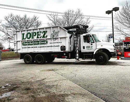 Lopez Tree service corp truck - Tree maintenance in Naperville, IL