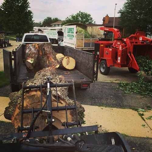 Chopped wood - Tree removal in Naperville, IL