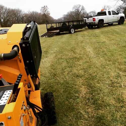 Grass removal - Tree trimming in Naperville, IL