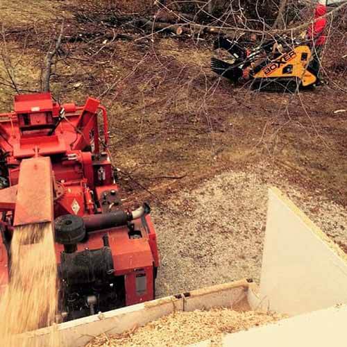 ranch Pruning - Tree services in Naperville, IL