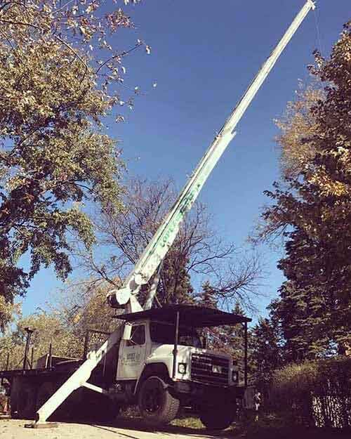 Lift arm truck for cutting trees - Tree services in Naperville, IL