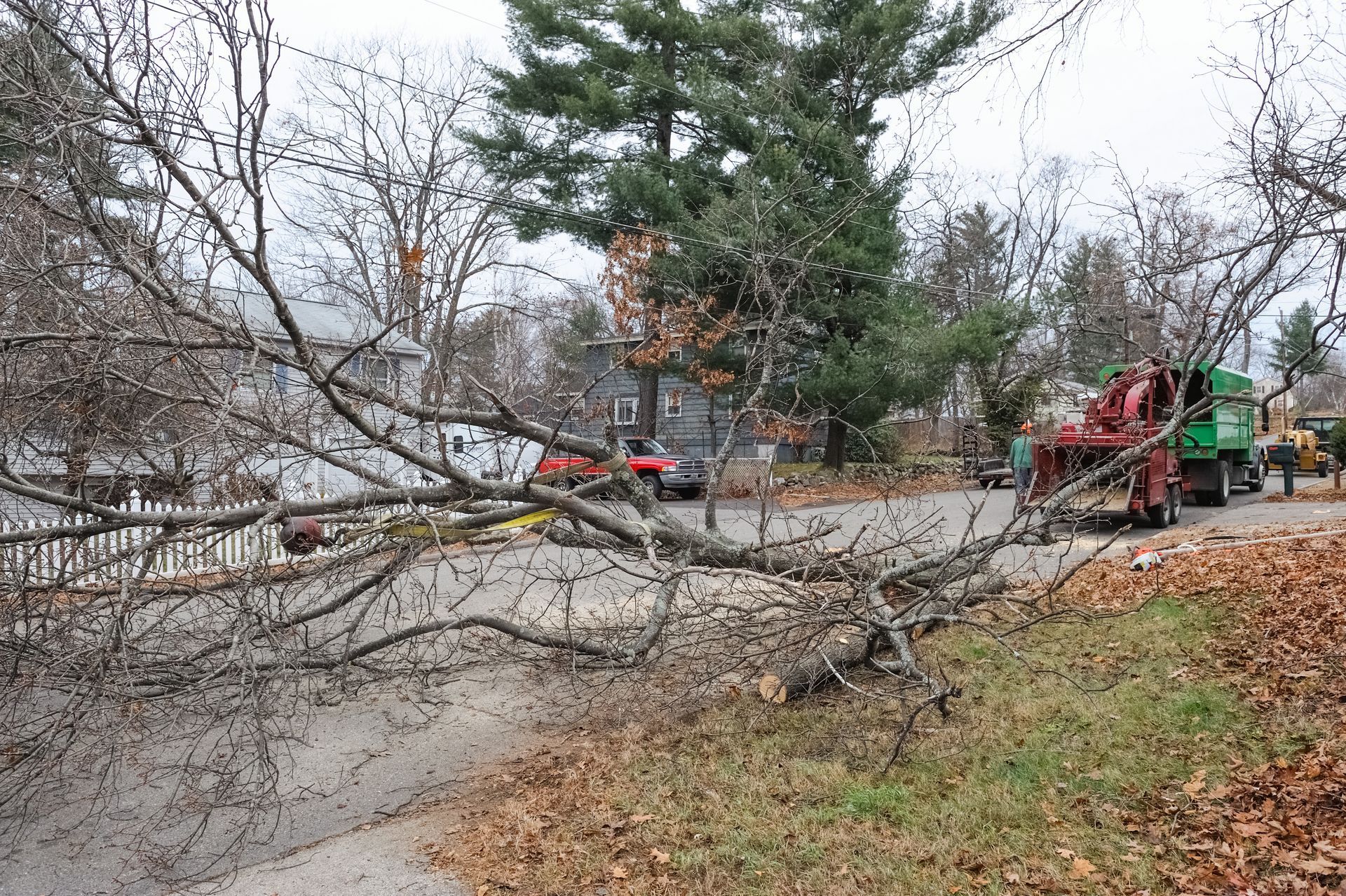 A fallen tree lying across a suburban street near a green woodchipper and a house.