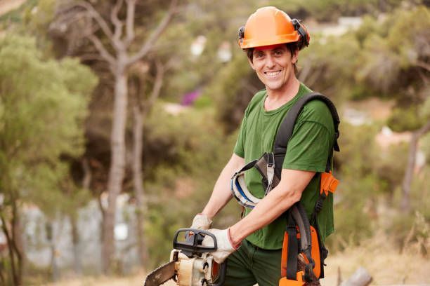 Lopez Tree Service Corp worker portrait holding a chainsaw ready to provide residential tree service