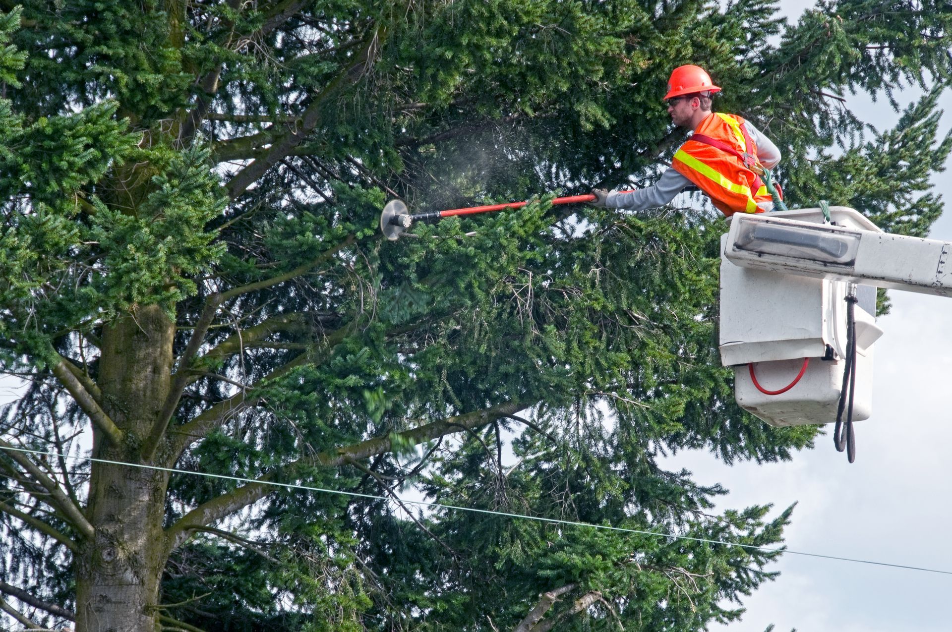 Arborist in bucket truck trimming tree with power saw. He is wearing a safety vest and hard hat.