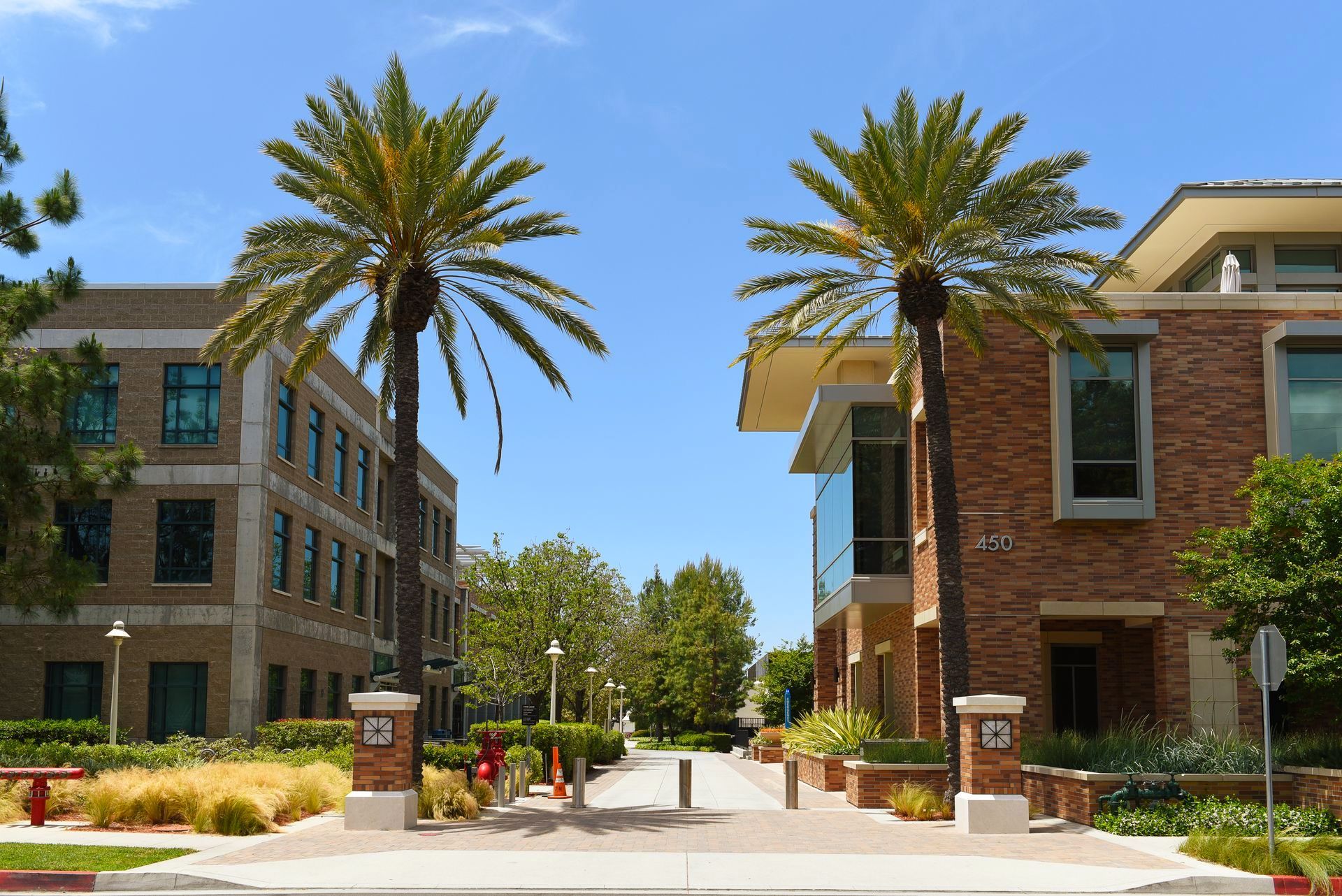 Two palm trees are in front of a brick building