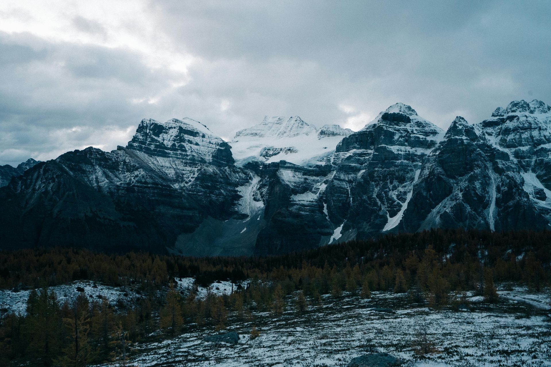 Rugged, snow-capped mountain peaks rise above a dark, sparse forest under a cloudy, overcast sky.
