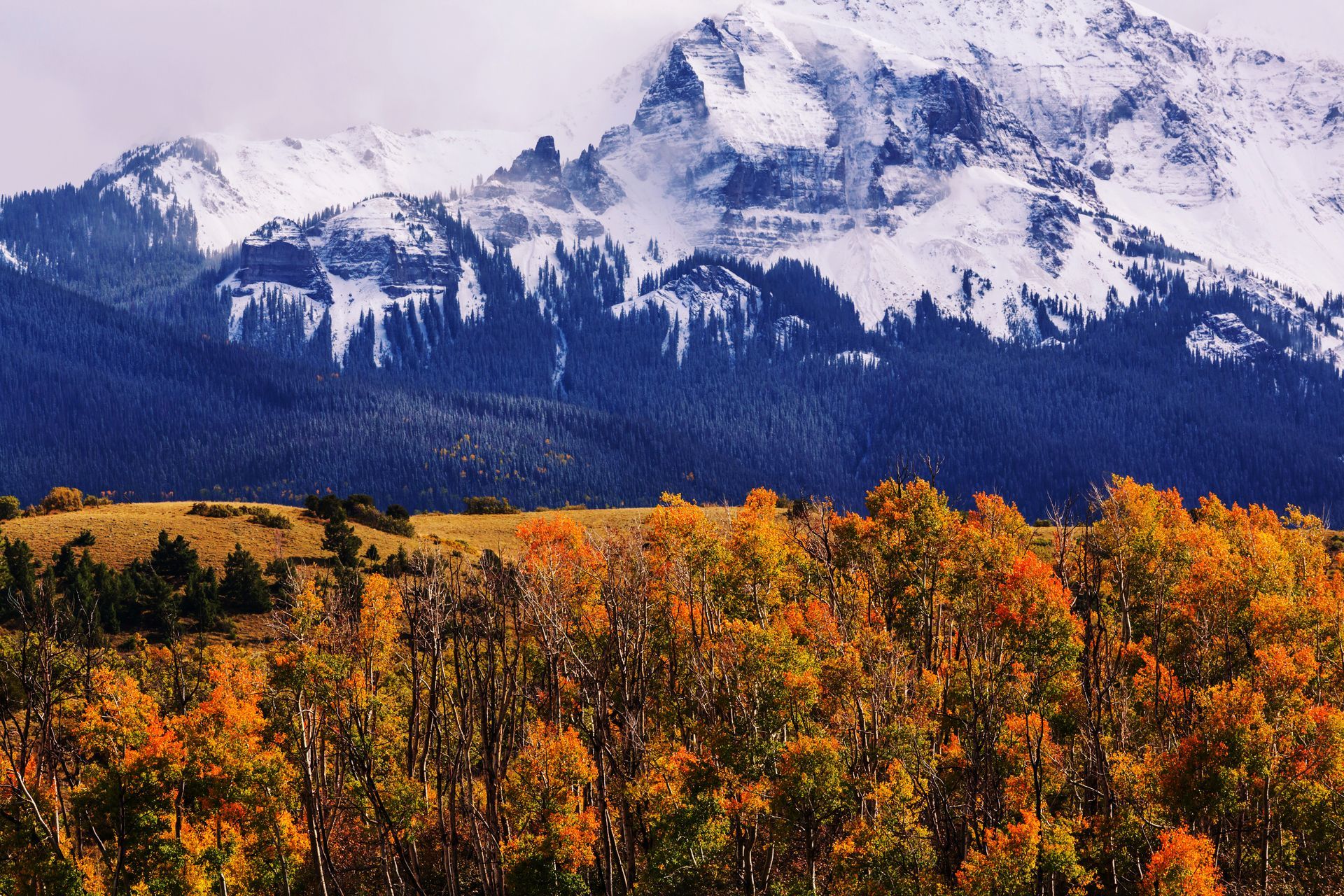 A vast, snow-capped mountain range rises behind a dense, golden-orange autumn forest under a cloudy sky.