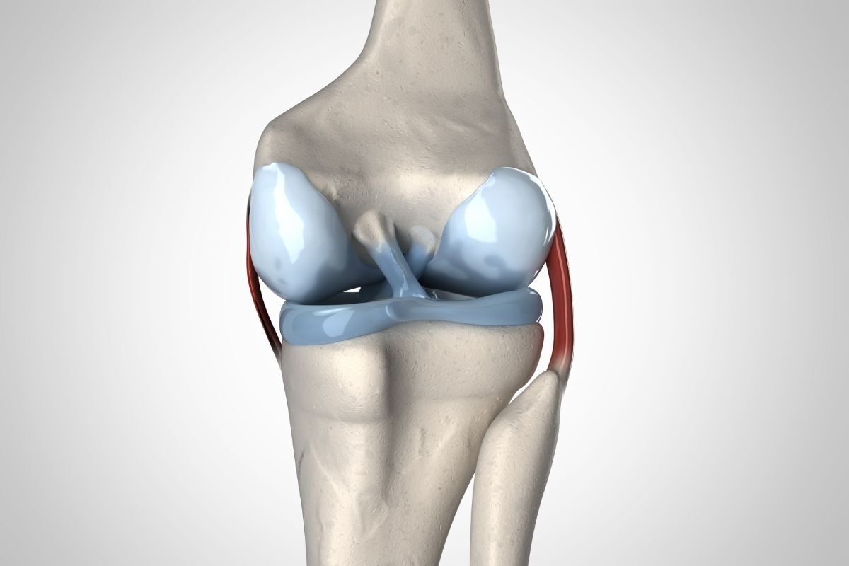 ligamento-cruzado-anterior-dr-diego-munhoz-ortopedista-joelho-sp