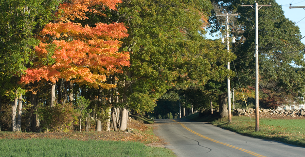 Country road — Landscaping Company in Hanover, MA Country road — Landscaping Company in Hanover, MA