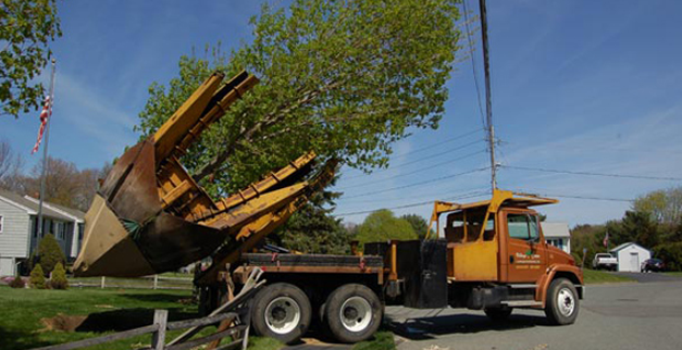 Tree Spade — Lawn Maintenance in Hanover, MA Tree Spade — Lawn Maintenance in Hanover, MA