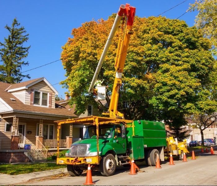 Green truck with cherry picker trimming a tree next to a house under a sunny blue sky.