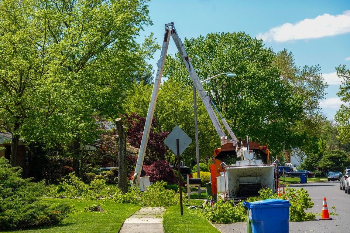 Tree trimming service in progress; bucket trucks, cut branches, and street in a residential area.