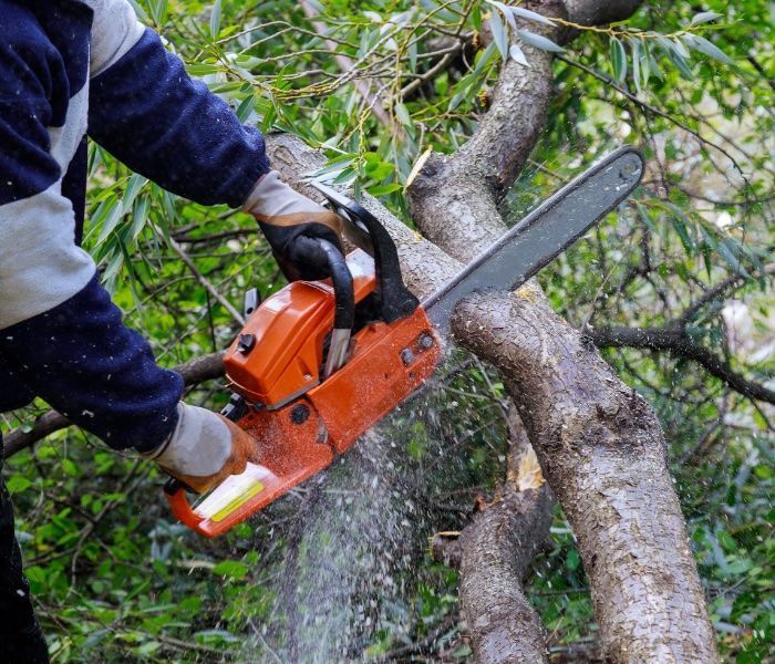Person using an orange chainsaw to cut a tree branch; wood chips flying.