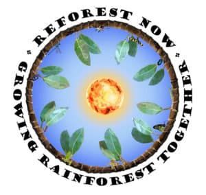 ReForest Now Incorporated Logo