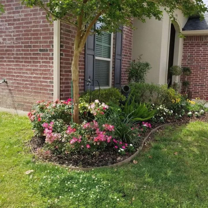 Front yard garden bed with red and pink flowers, next to a brick house.