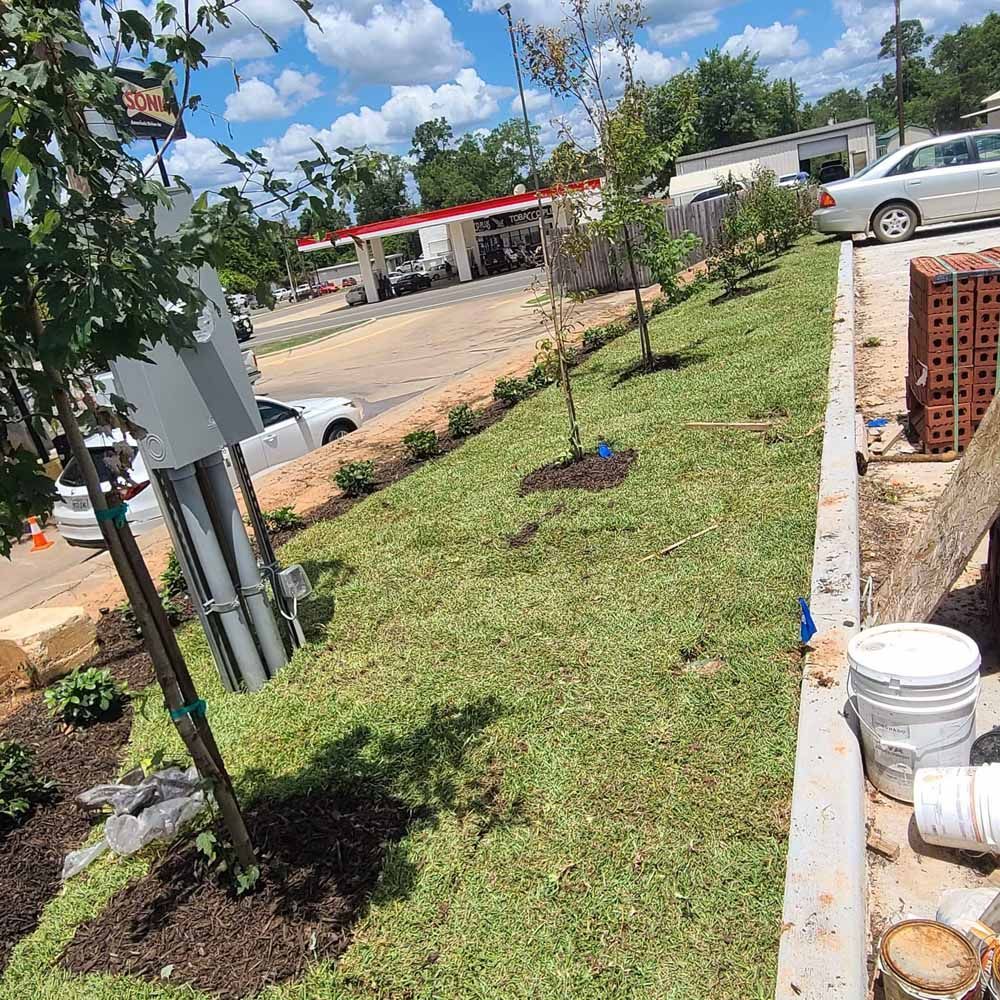 Newly planted grass and trees along a roadside, near a gas station under a blue sky.