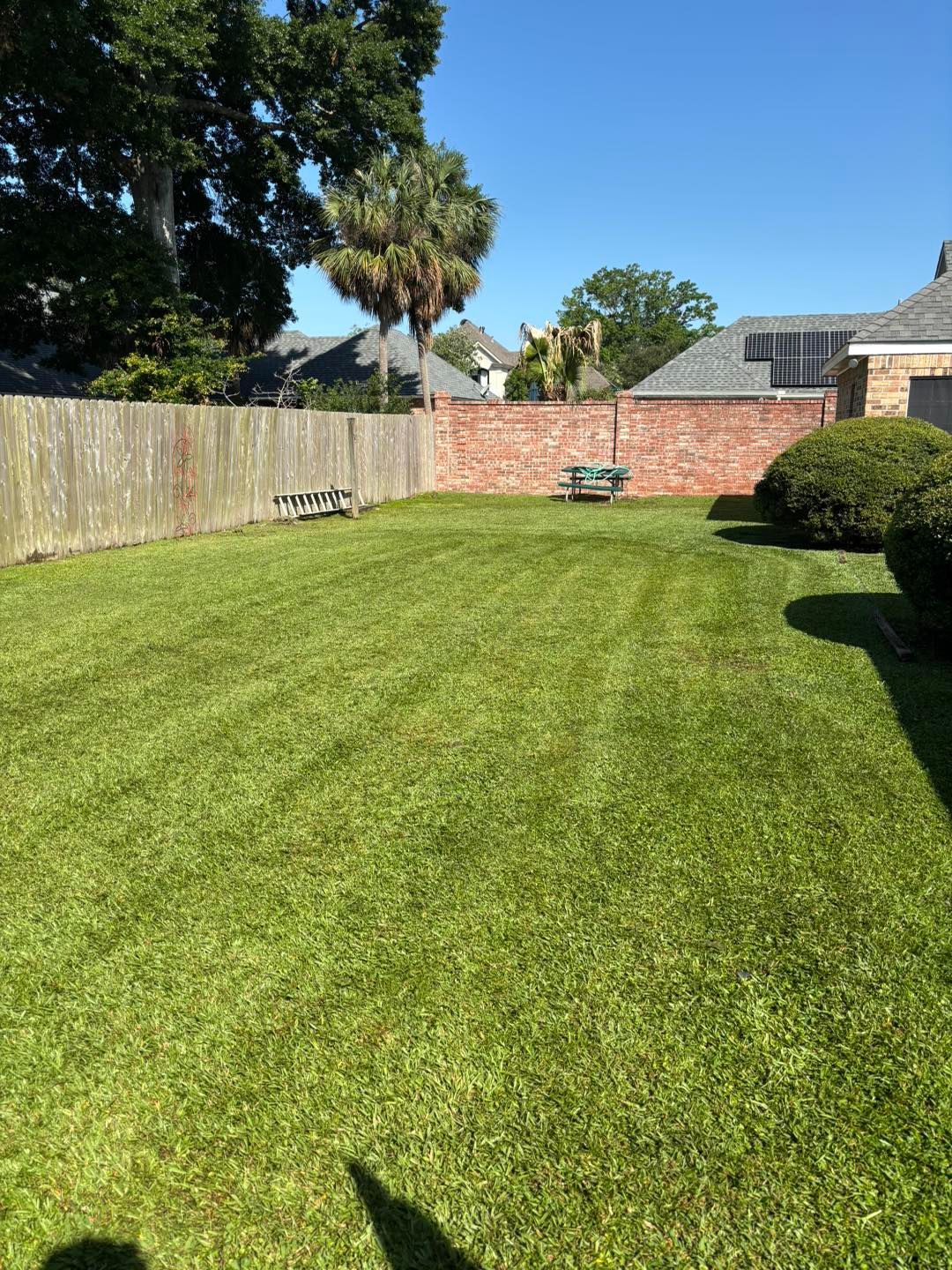 Lush green backyard with freshly cut grass, wooden fence, brick wall, and two benches under a clear blue sky.