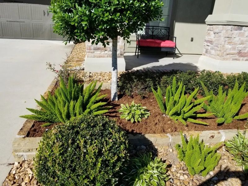 Landscaped front yard with green plants, a tree, and a red bench.