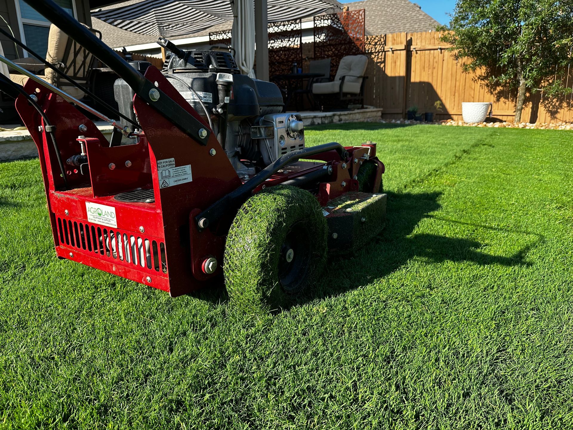 A red lawn edger cutting the edge of a green lawn in a backyard.