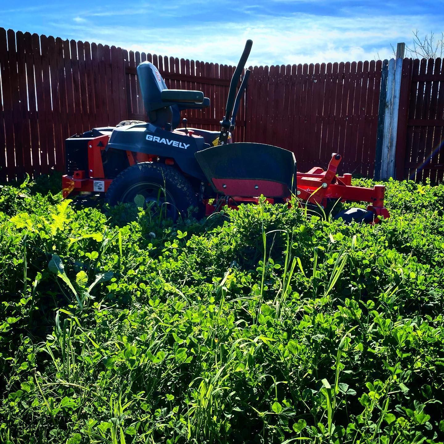 A Gravely lawn mower sits in tall, overgrown weeds, near a red wooden fence under a blue sky.