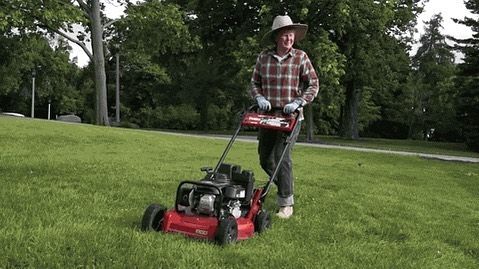 Person mowing a green lawn with a red lawnmower, wearing a hat and gloves in a park-like setting.