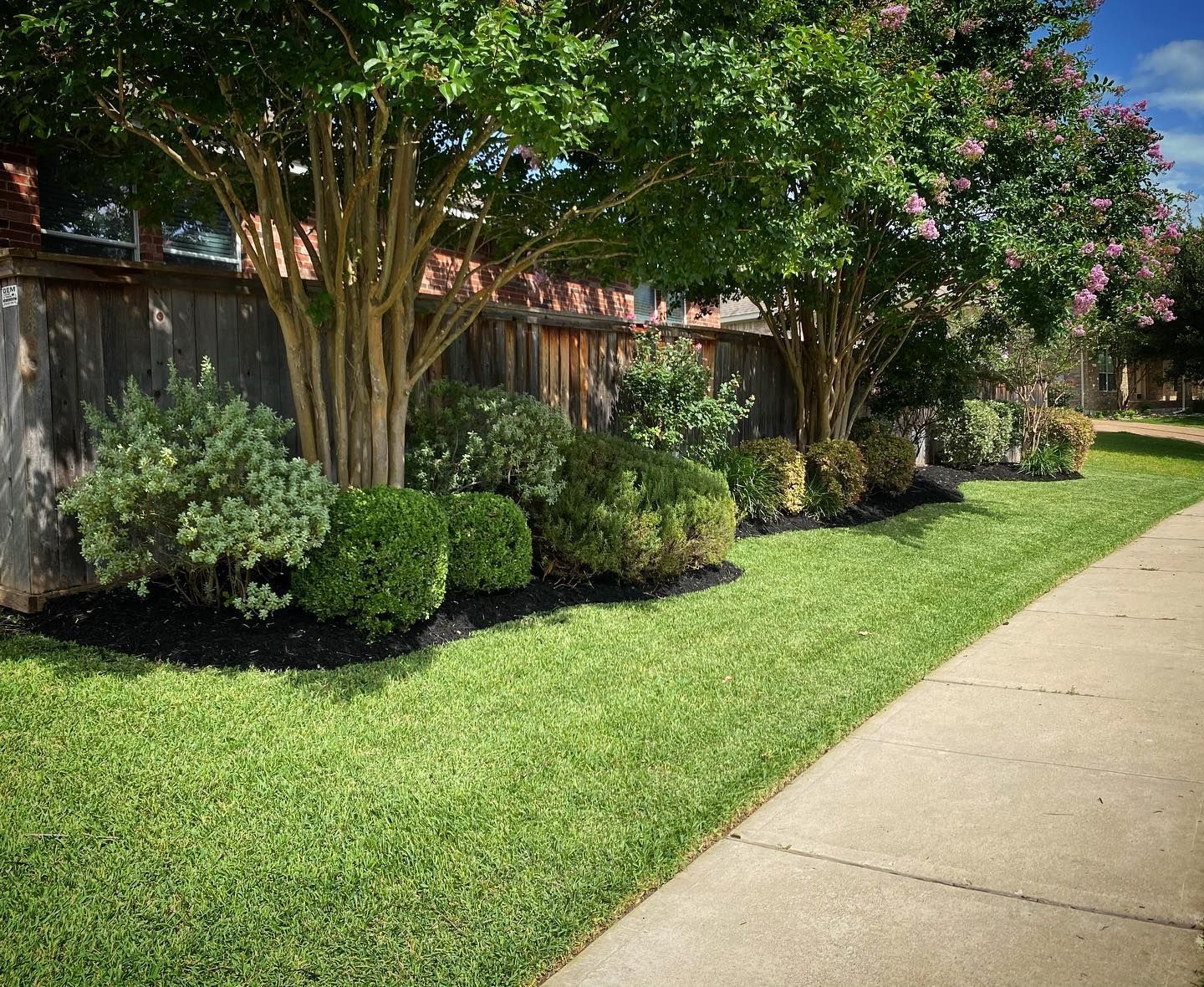 Lush green lawn with trimmed shrubs and trees along a sidewalk, next to a wooden fence.
