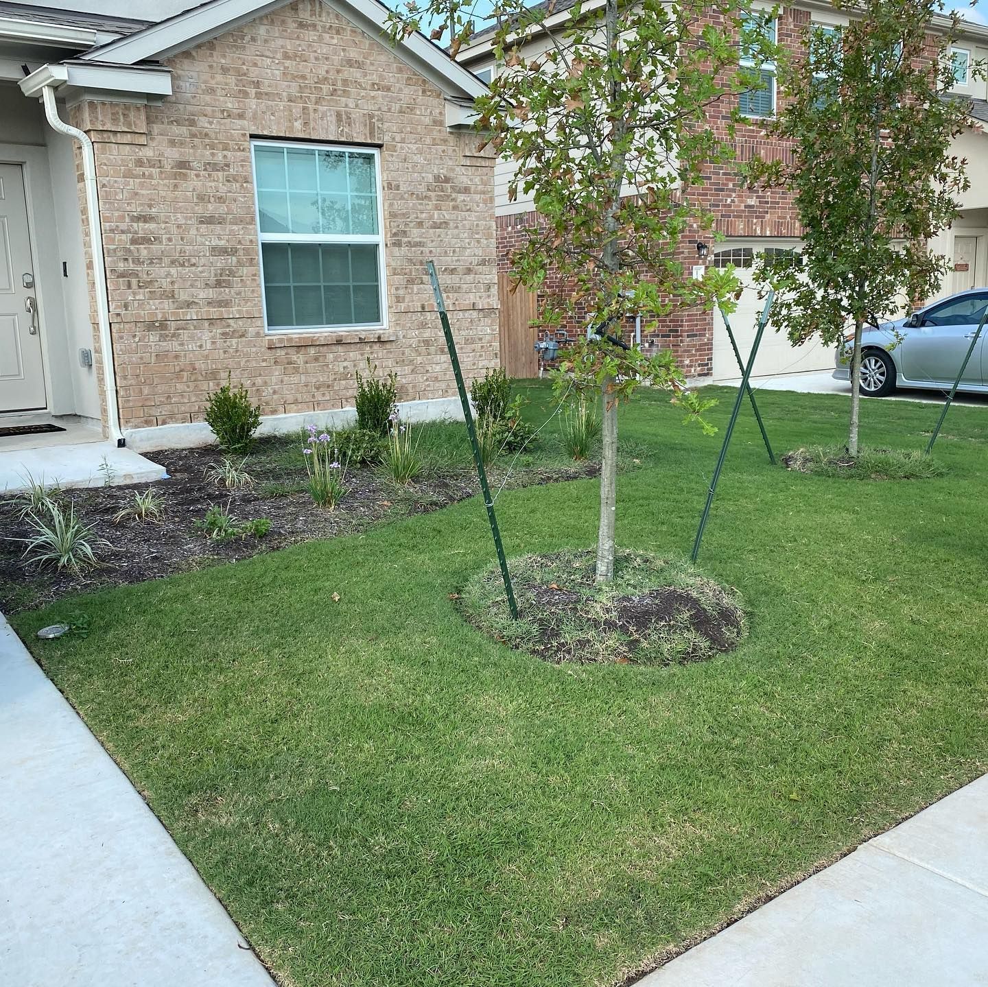 Front yard in Georgetown, with healthy green grass and young trees supported by stakes as part of