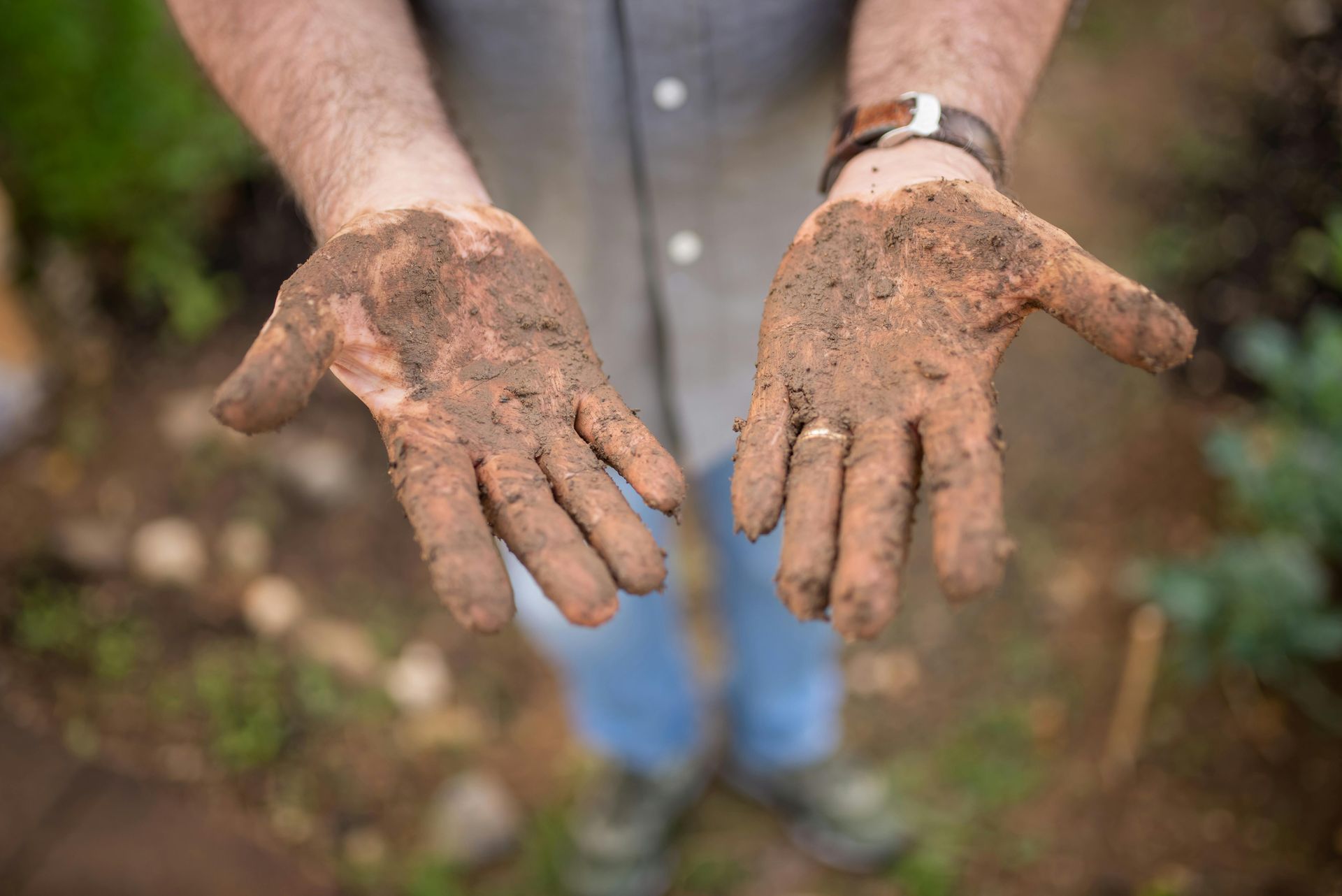 Hands in soil checking soil pH for lawns, showing dirt and nutrients.
