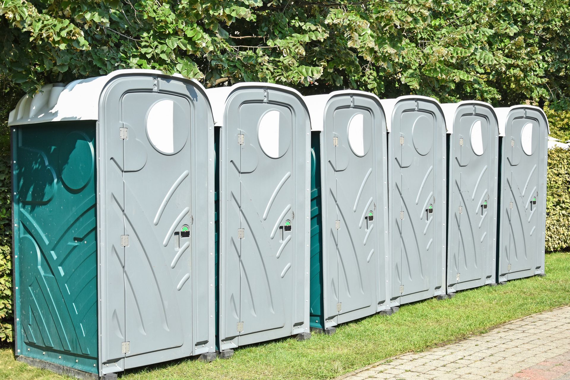 A row of portable toilets lined up in a grassy area, with a hedge behind them.