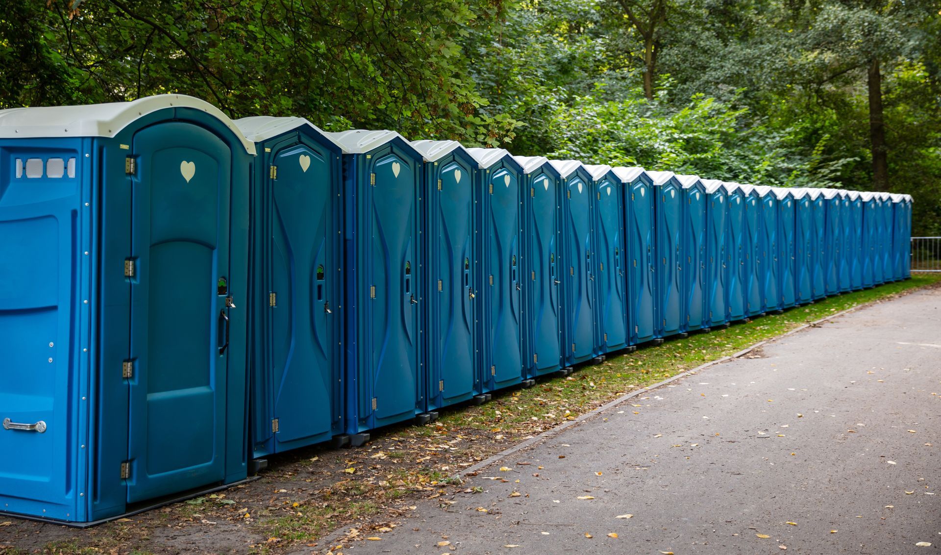 A row of blue portable toilets lined up along a park path surrounded by trees and greenery outdoors