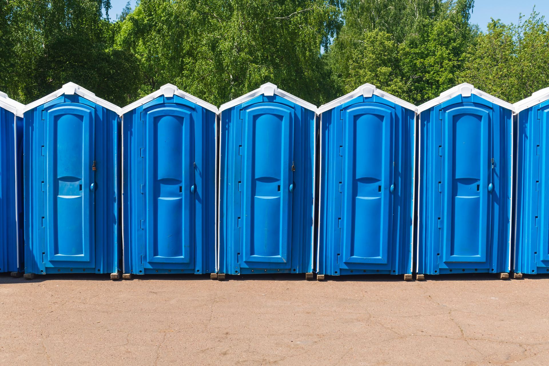 Blue portable toilets lined up outdoors, with green trees in the background.