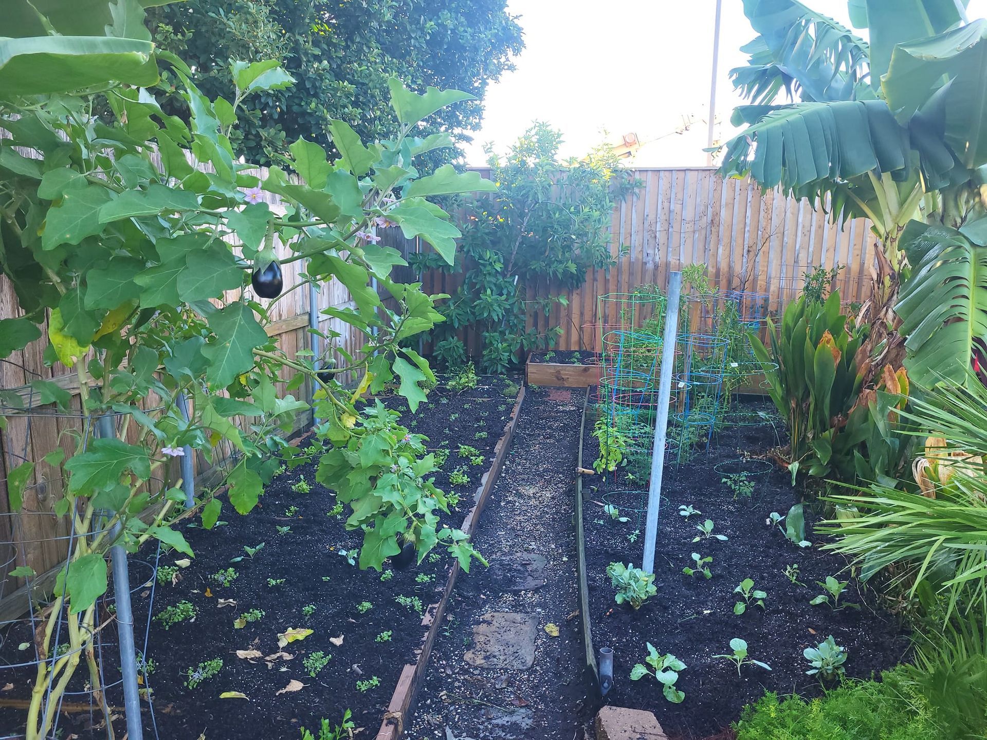 A garden filled with lots of plants and trees