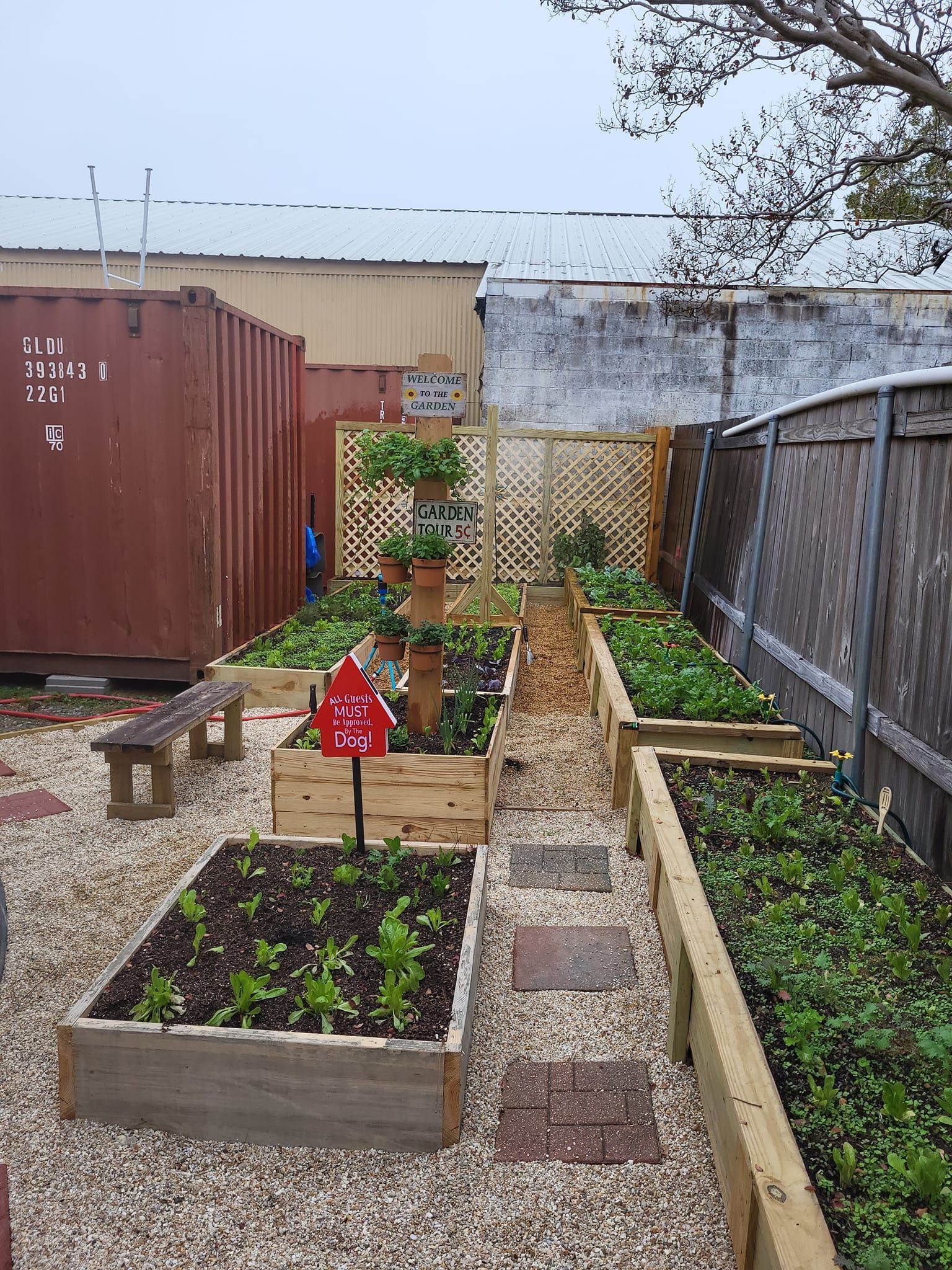 A garden filled with lots of plants and a red container in the background.